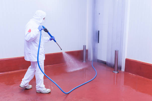 Spring Cleaning in Oriskany, NY